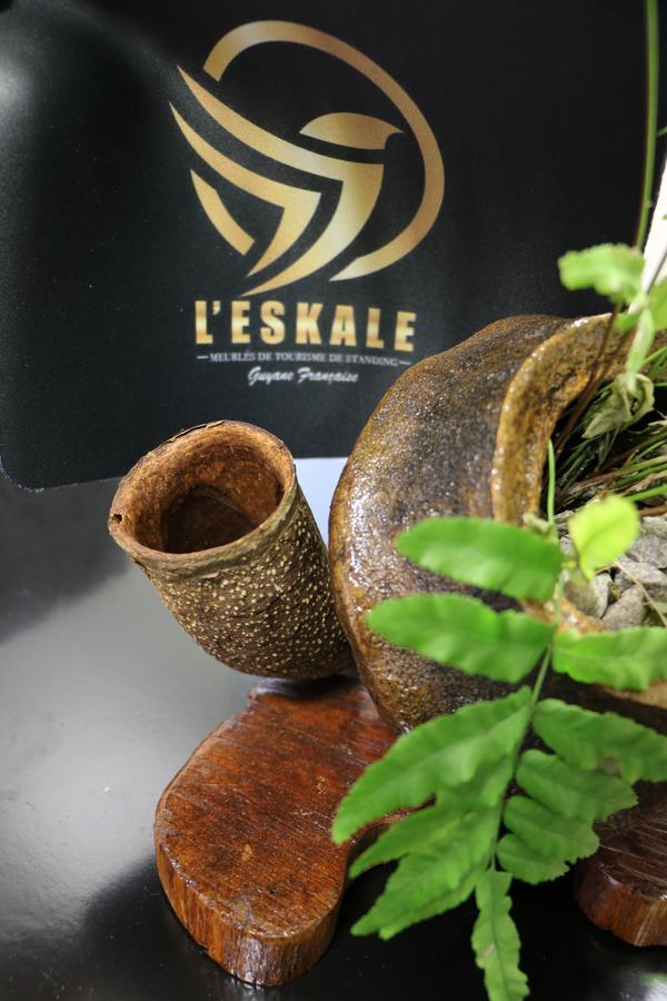 الشقق الفندقية Remire-Montjolyفي  L'Eskale Guyane المظهر الخارجي الصورة